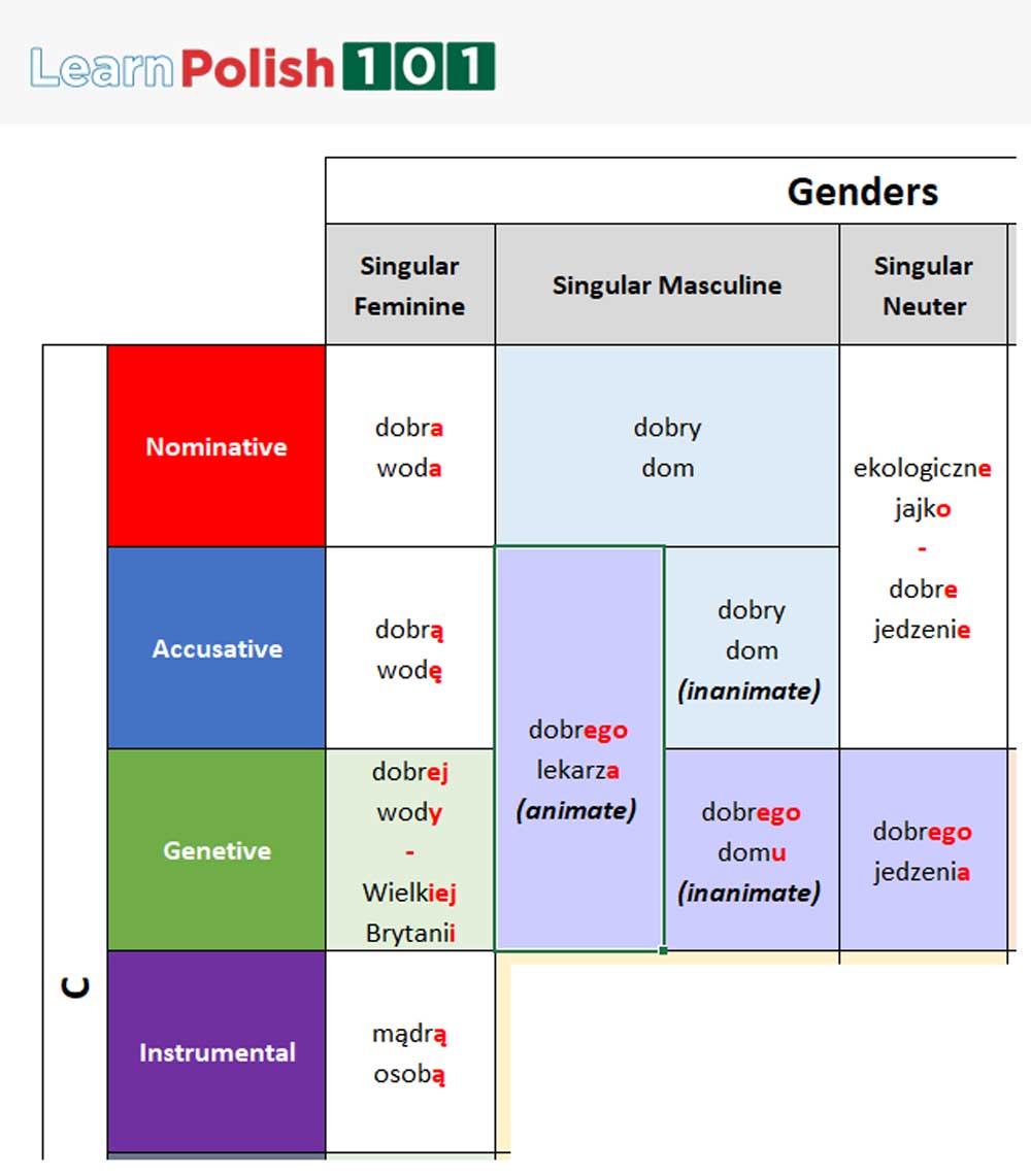 Polish grammar cases - Feminine, Instrumental