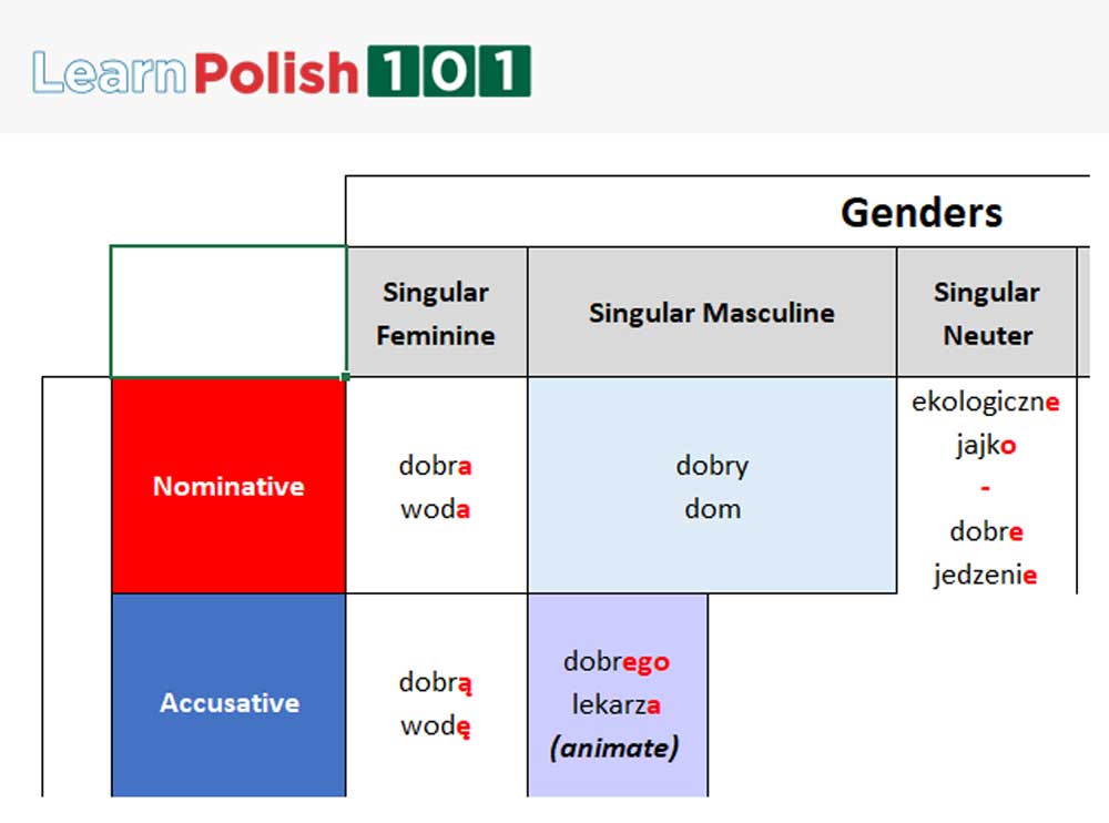 Polish grammar cases - Masculine Animate - Accusative