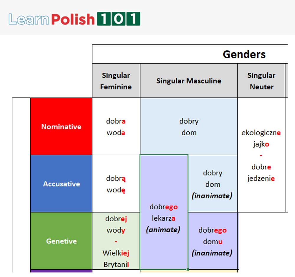 Polish grammar cases - Masculine, Genetive